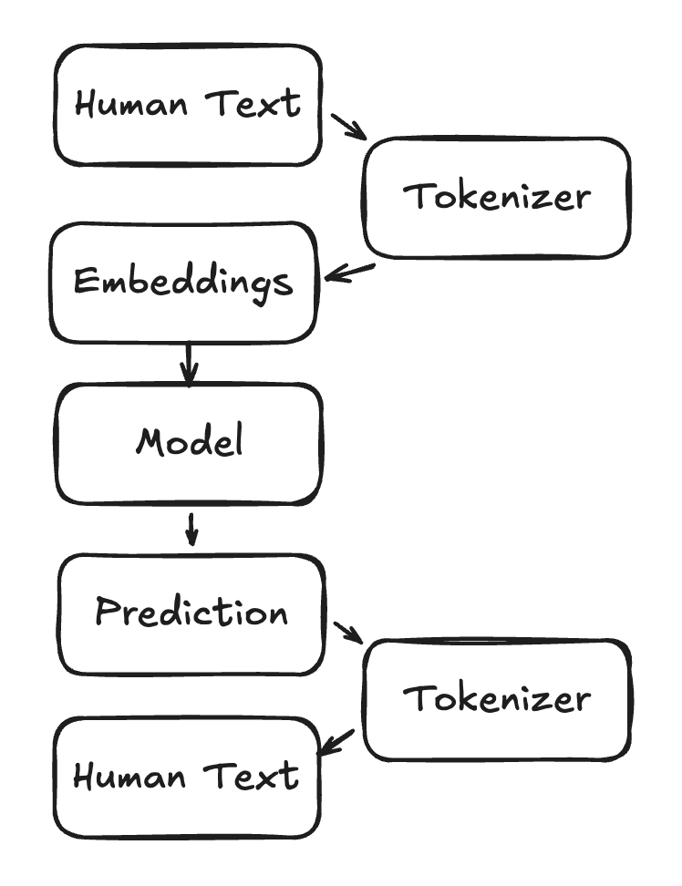 Classification