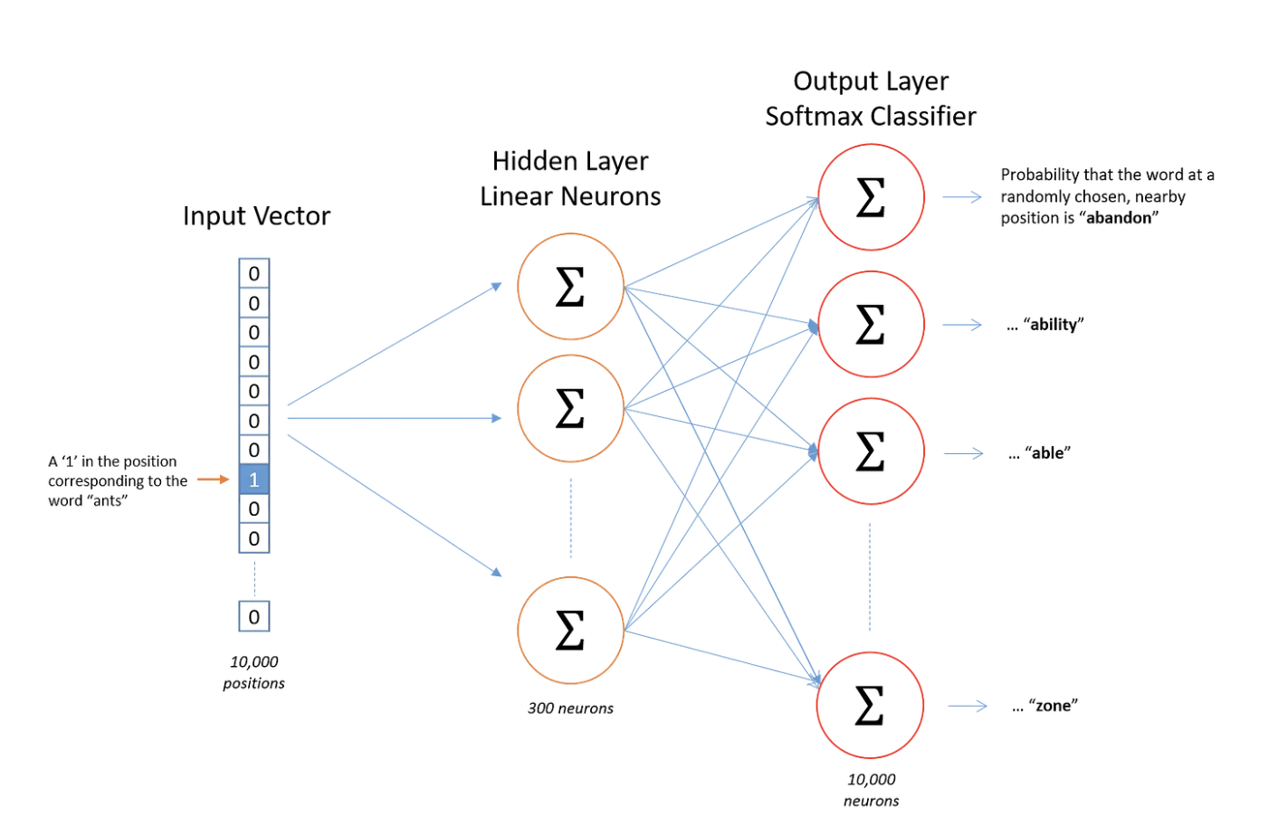 Word2Vec Architecture